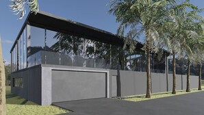 A modern building with large windows, a garage, and a pathway lined with palm trees.