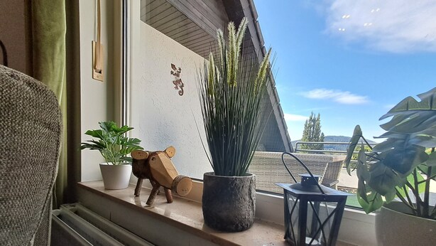 A window sill with potted plants, a wooden toy, and a lantern.