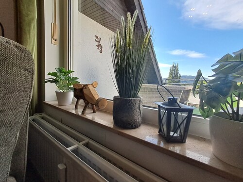 Ferienwohnung für 2 Personen mit Seeblick und Balkon in Winterberg-Niedersfeld
