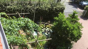 Ein Dachgarten mit unterschiedlichen Pflanzen und einem kleinen Teich.