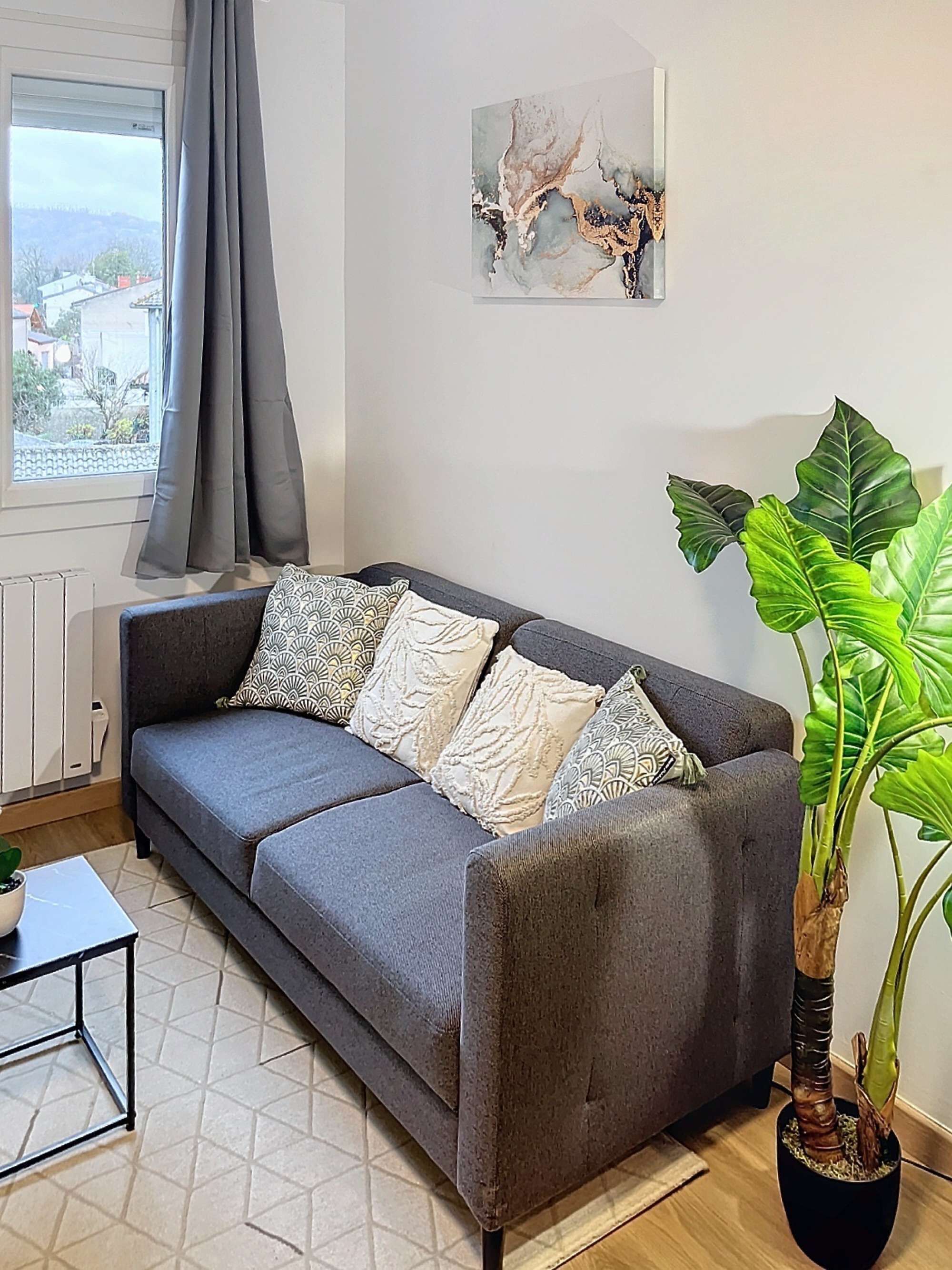 Ein graues Sofa mit gemusterten Kissen, ein Topf mit Pflanze und ein Bild an der Wand.