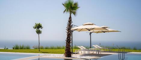 A swimming pool with a palm tree, lounge chairs, and umbrellas.