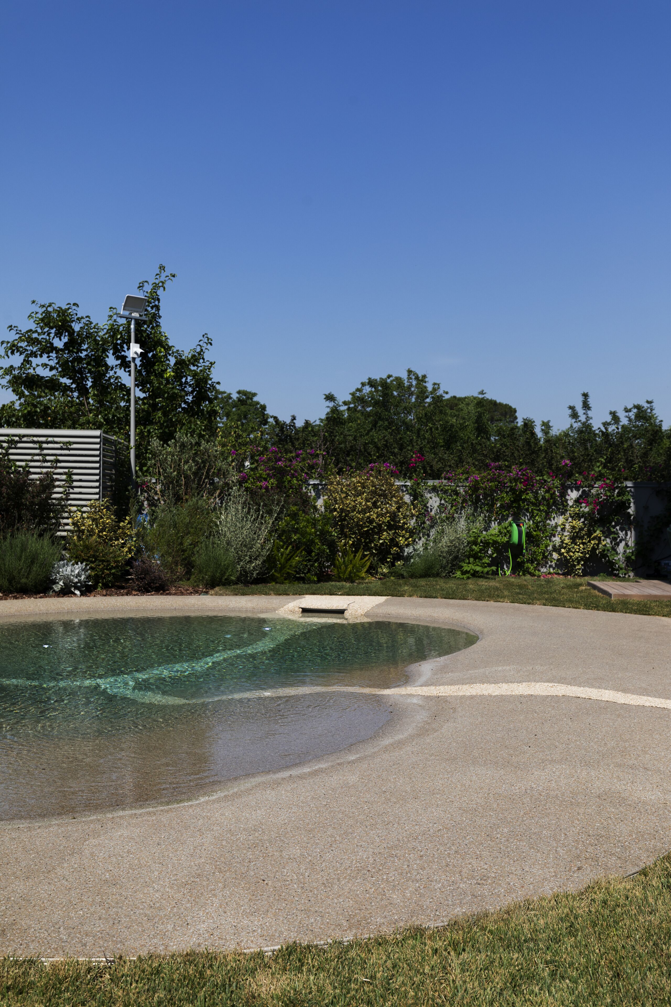 Ein Pool mit geschwungener Kante, umgeben von einem angelegten Garten mit verschiedenen Pflanzen und blauem Himmel.