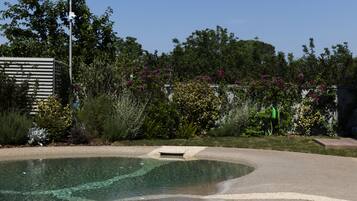 Ein Pool mit geschwungener Kante, umgeben von einem angelegten Garten mit verschiedenen Pflanzen und blauem Himmel.