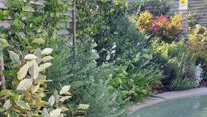 A garden with a variety of plants and a small pond. - Bfor Suite Experience (Nola)