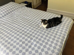 2 bedrooms, desk, iron/ironing board, free WiFi