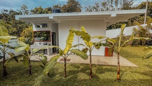 A modern house with a flat roof, a large window, and a small garden with banana plants.