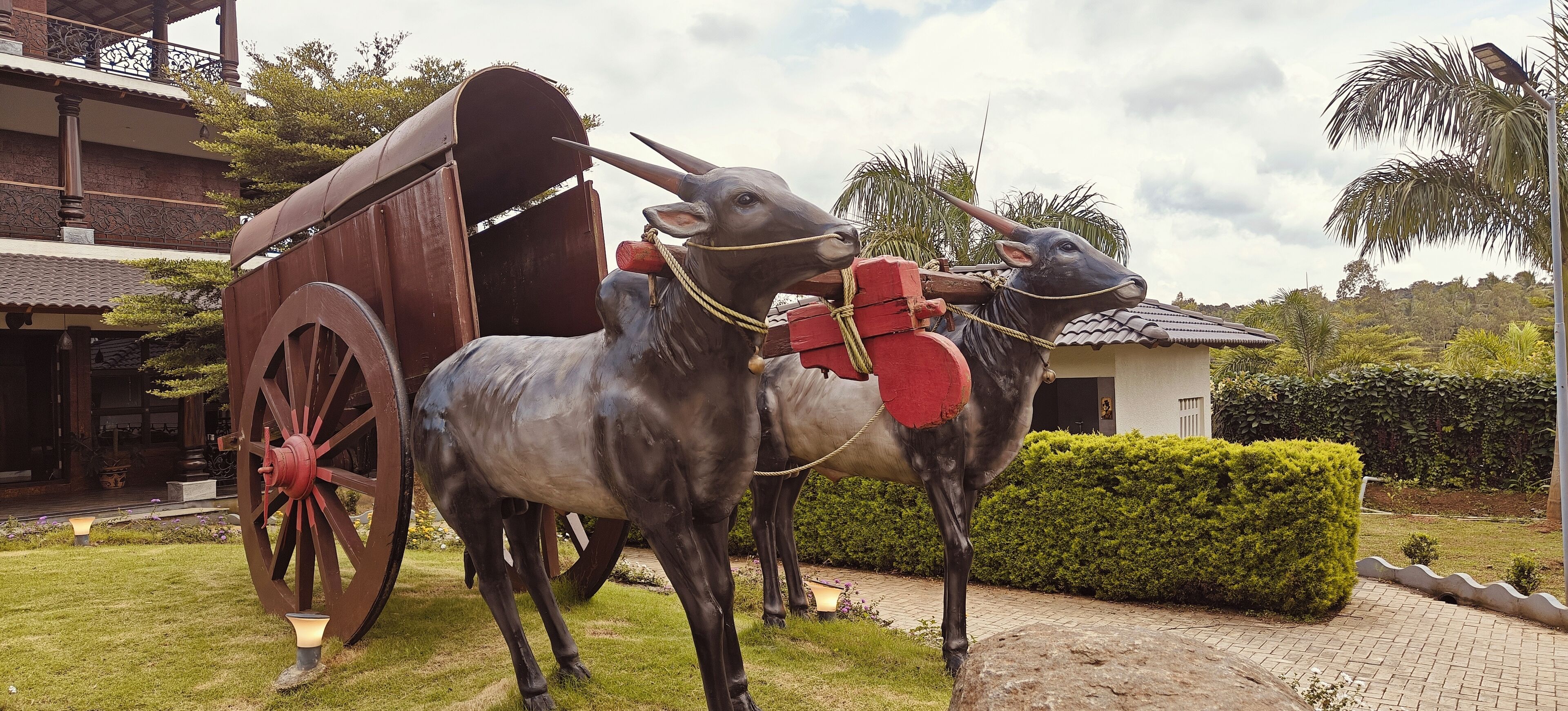 Un carruaje de madera tradicional con dos estatuas de bueyes en un jardín ajardinado.