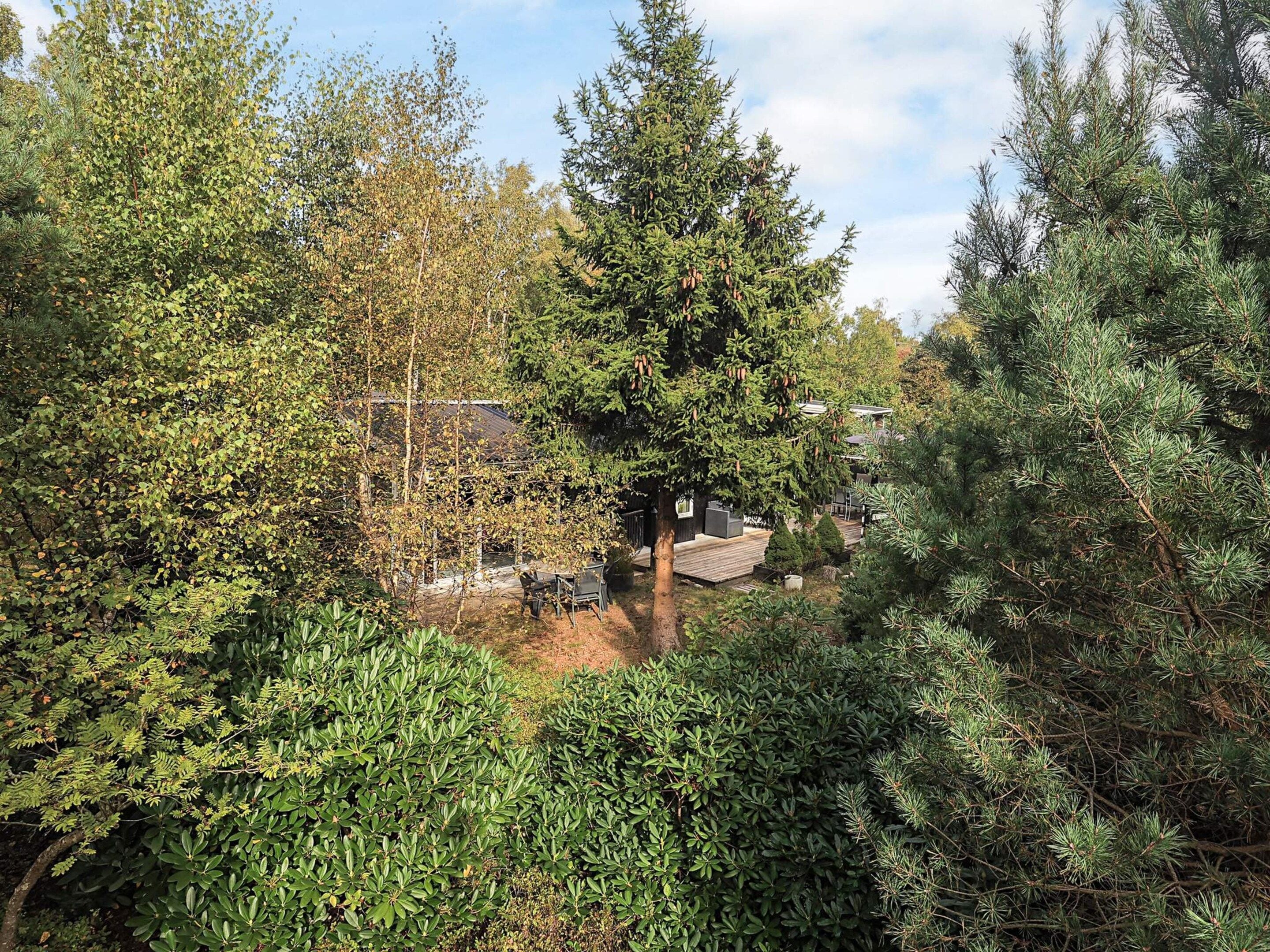 A residential area with a house surrounded by dense foliage and trees.