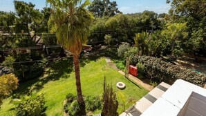 Un exuberante jardín con una palmera, un cuadro eléctrico rojo y un sendero.