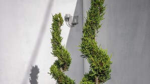 A landscaped garden with neatly trimmed hedges and a wall. - Thaya Rooms (Mangalia)