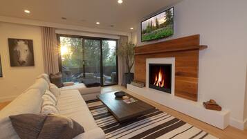 Smart TV, fireplace, books