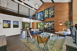 TV, fireplace, books, stereo