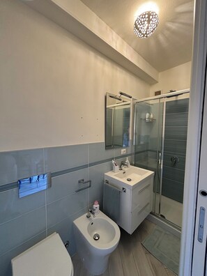 Regadera, secadora de cabello, bidet, toallas 