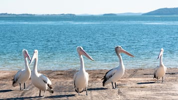 Plage à proximité
