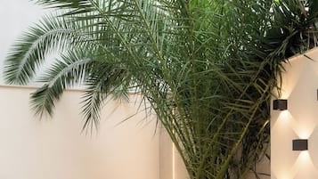 Huoneisto, 2 makuuhuonetta, patio | Terassi/patio