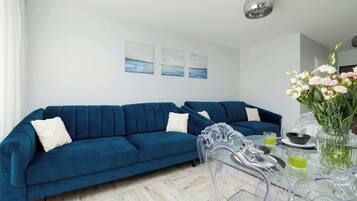 Fernseher, Arbeitsbereiche