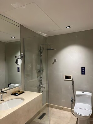 A modern bathroom with a glass shower enclosure, a white sink, and a toilet.