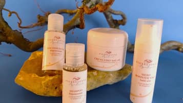 Hair dryer, bidet, towels, soap