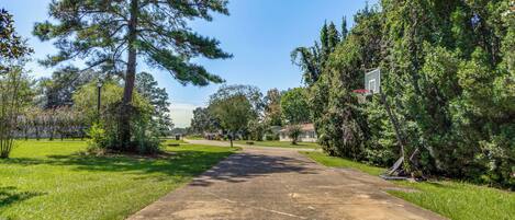 A paved pathway flanked by trees and grass, leading to a residential area with houses in the background.