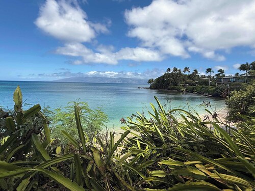 Oceanview Suite w. Garden | Maui B&B | Breakfast, BBQ & Free Parking