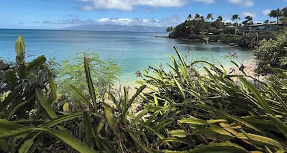 50% Off! Bed & Breakfast Steps from the Beach with AC