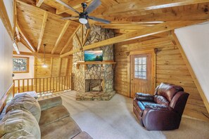 TV, fireplace, video games, books