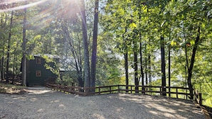 A gravel path leading to a cabin surrounded by tall trees. - Above It All Cabin - Mountain Views (Murphy)