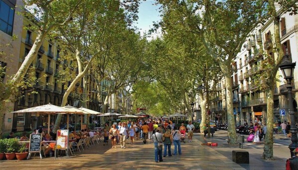 Miscellaneous - Authentic 19th-Century Charm in the Heart of Barcelona (Barcelona)