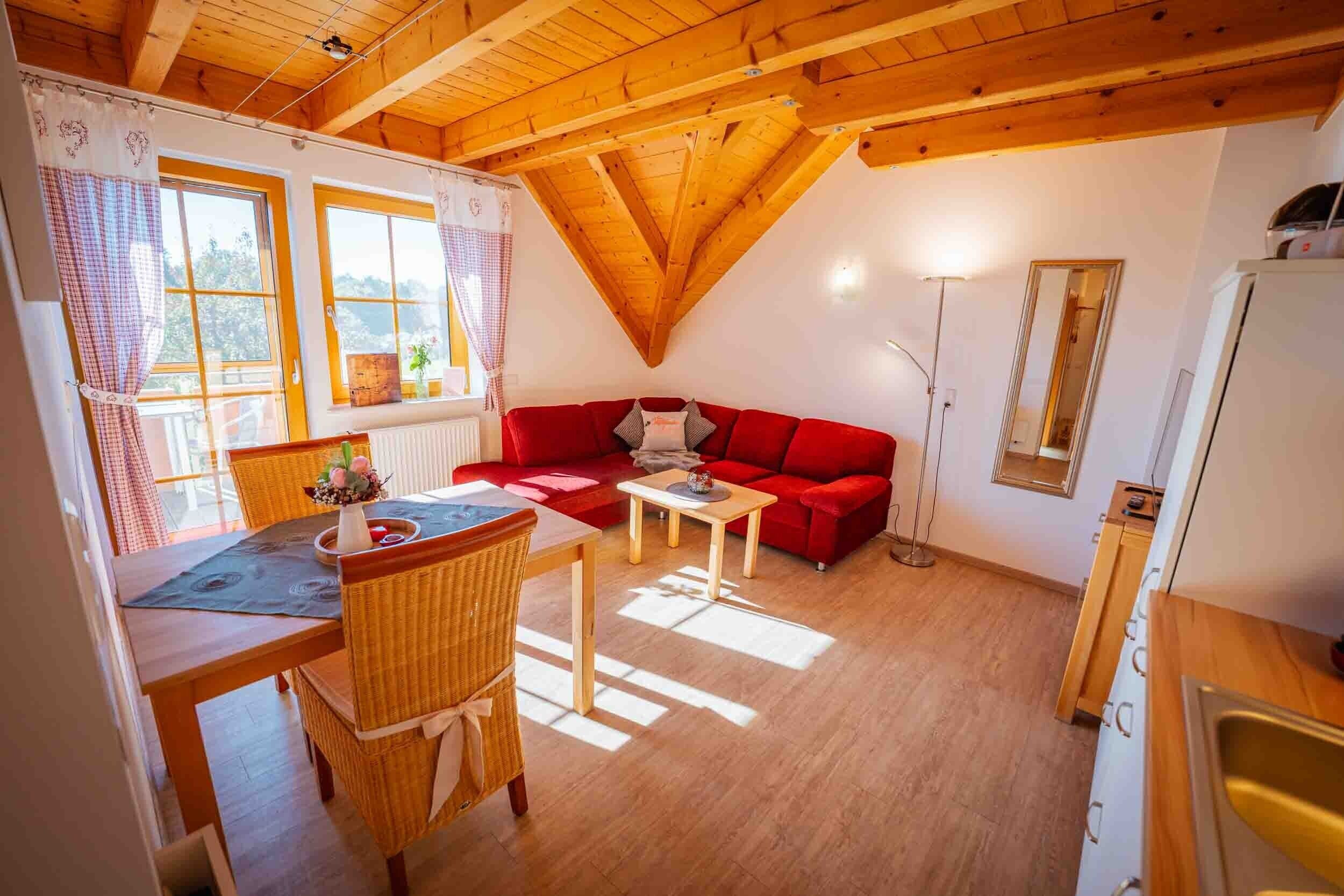 TV, tavolo da ping pong