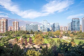 Unclassified image, 2 of 30, button