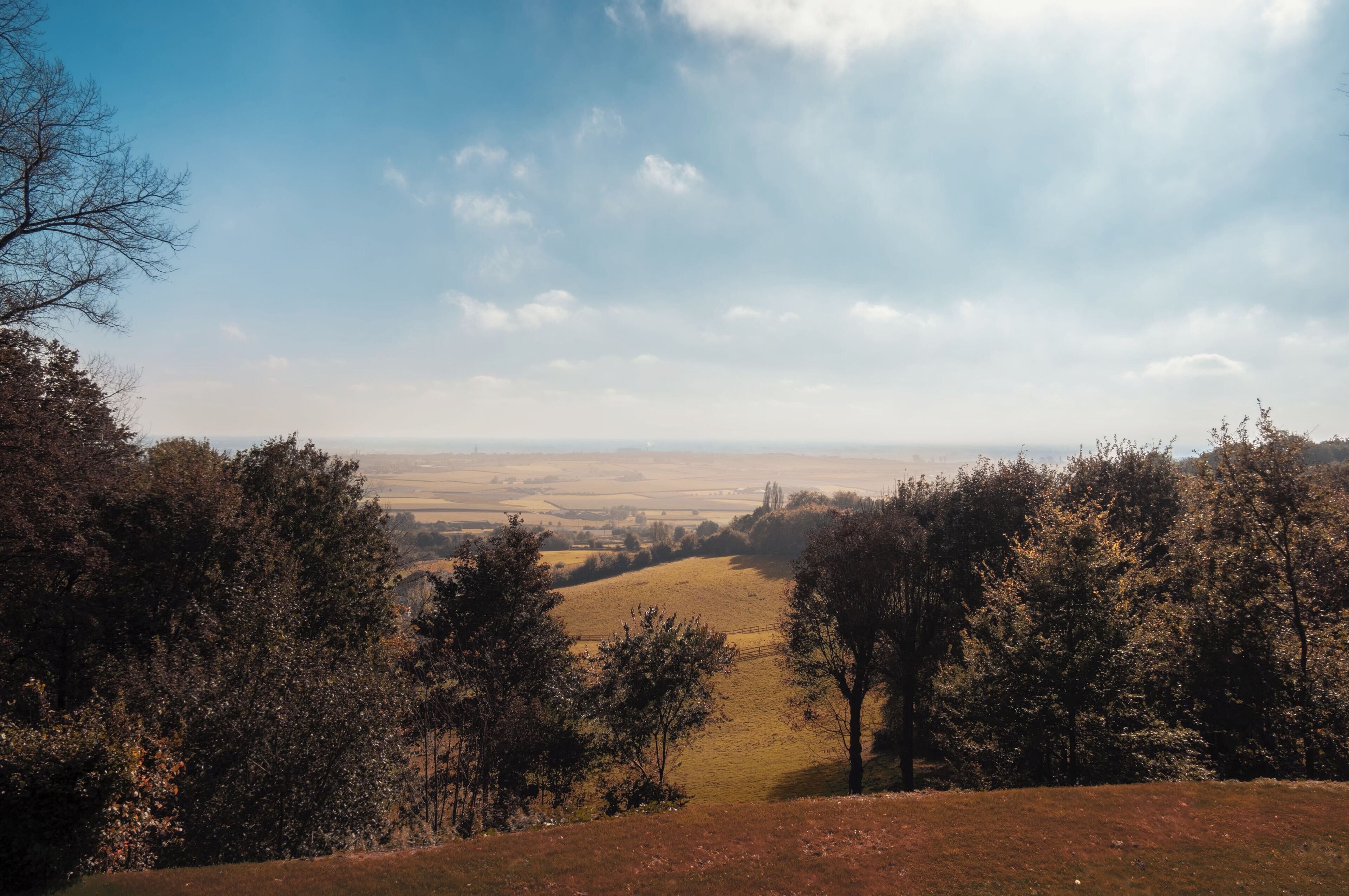 A panoramic view of a countryside landscape with rolling hills, a clear sky, and a variety of trees.