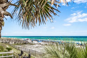 A beach with a wooden boardwalk, palm trees, and a clear view of the ocean. - Nantucket Cottage 10ab 2 Bedroom Condo (Destin)