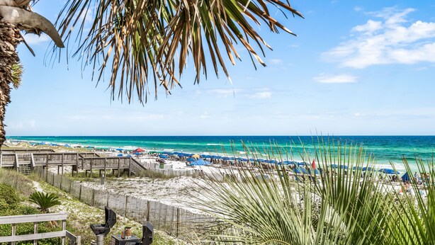 A beach with a wooden boardwalk, palm trees, and a clear view of the ocean.