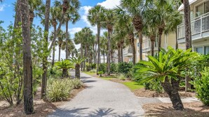 A pathway lined with palm trees and a building with balconies.
