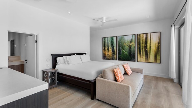 Un dormitorio moderno con una cama, un sofá y dos cuadros en la pared.