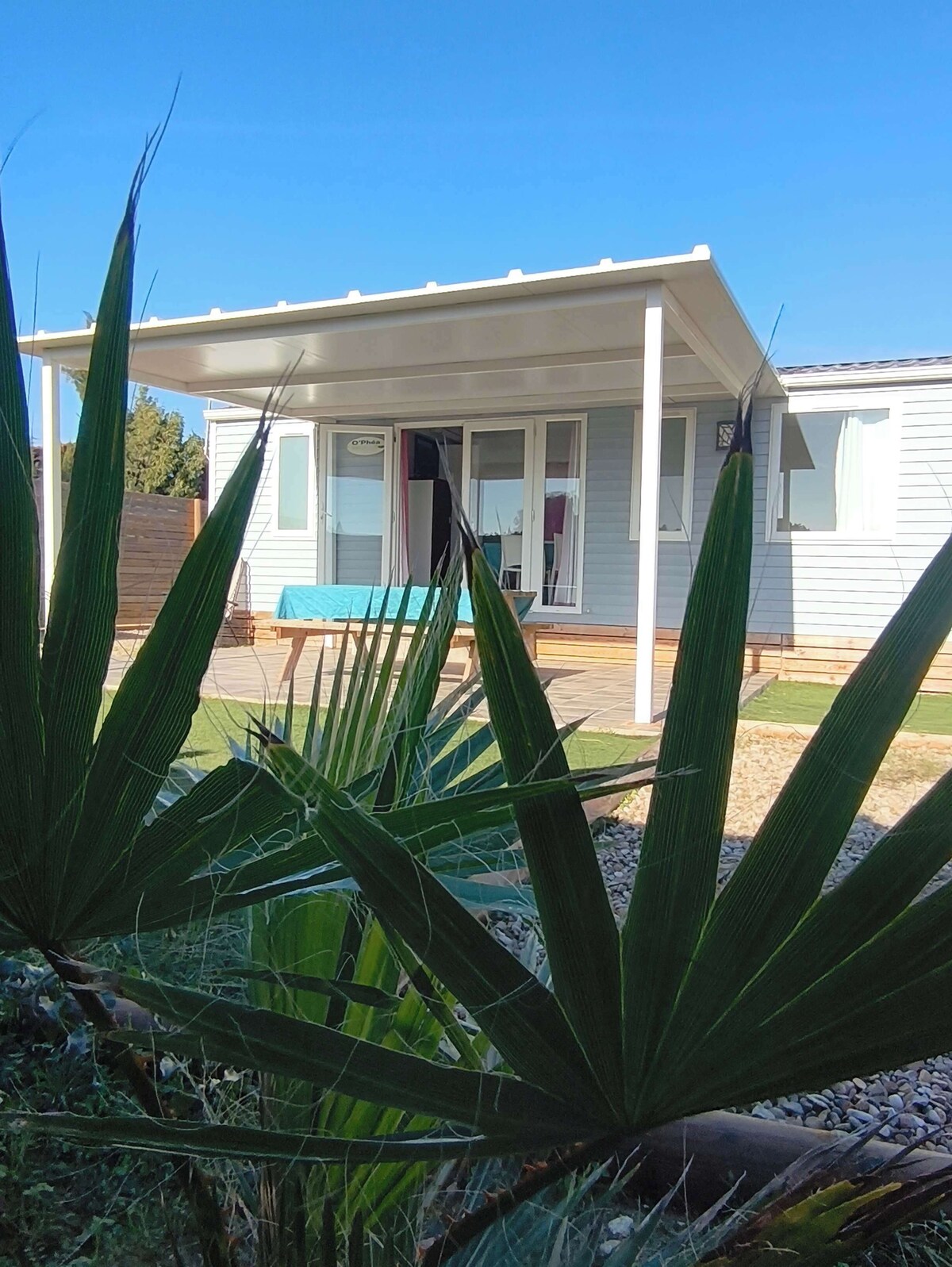 オーナーのプロフィール画像