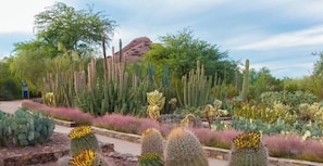 Jardines del alojamiento