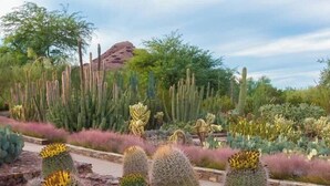 A desert garden with various cacti and succulents, a paved walkway, and a mountain in the background. - Private Patio & Grill, 10 minutes to Old Town (Scottsdale)