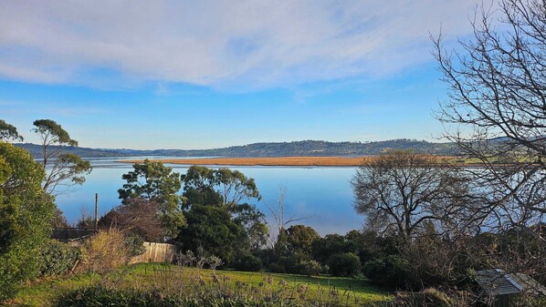 Unclassified image, 1 of 49, button