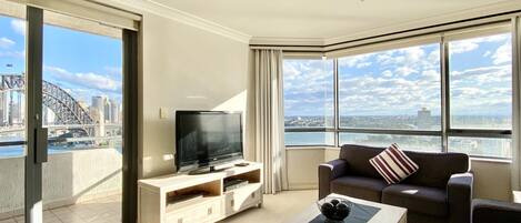 Smart TV, fireplace, DVD player, books