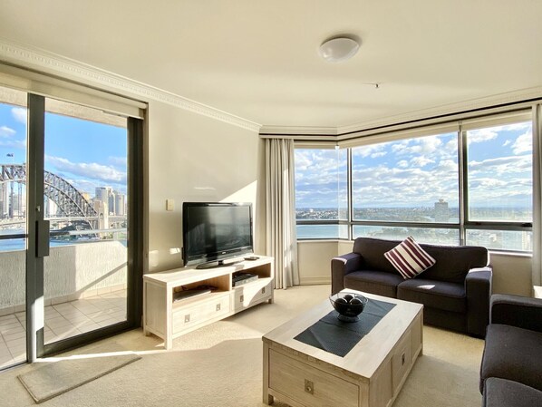 Smart TV, fireplace, DVD player, books