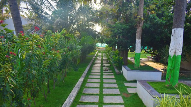 A pathway lined with greenery and trees, leading to a seating area. - Gandhada Goodu Retreat (Kanakapura)