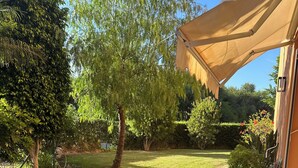 A garden with a pathway, trees, and a building with a canopy.