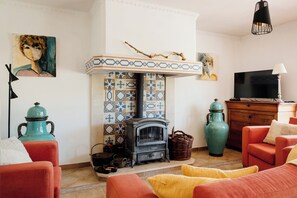 Smart TV, fireplace, books