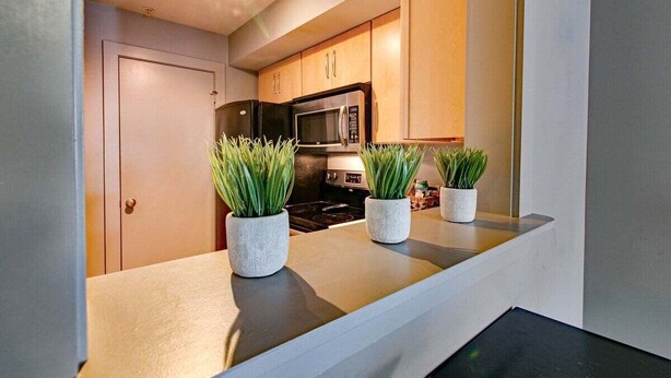 Une cuisine moderne avec des meubles en bois, un four à micro-ondes et une cuisinière. Trois plantes en pot sont posées sur le plan de travail.
