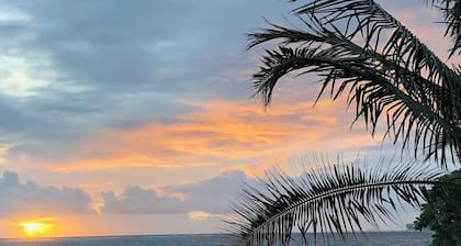 Beachfront Luxurious Hawaiian Oasis