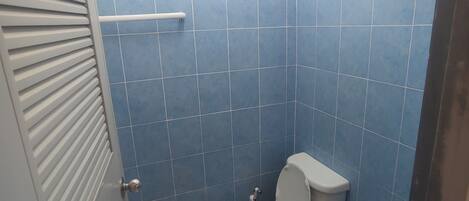 A small bathroom with a toilet, a handrail, and a door with a handle.