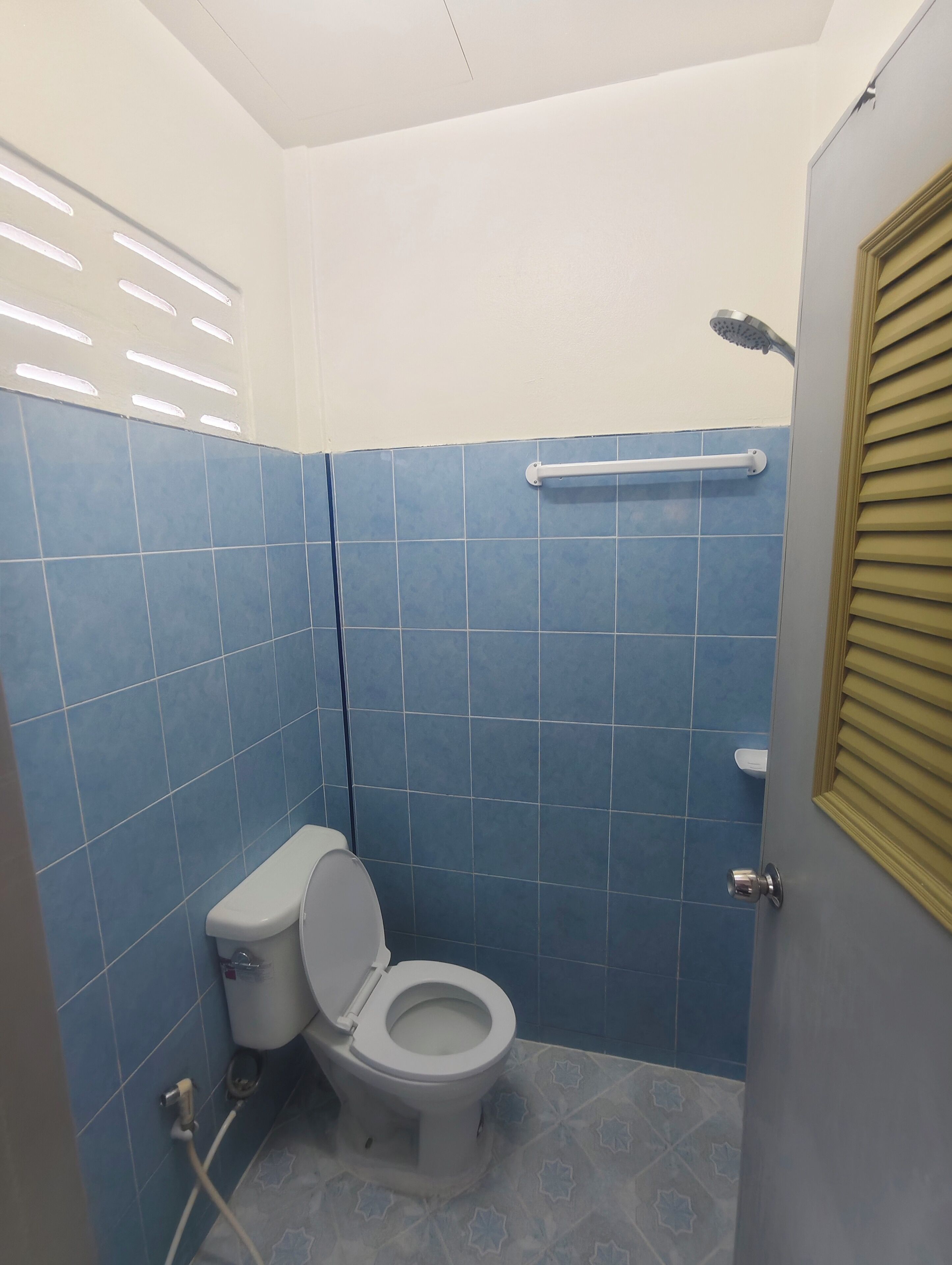 Une petite salle de bain avec des carreaux bleus, des toilettes blanches, une pomme de douche et une porte avec une fenêtre.