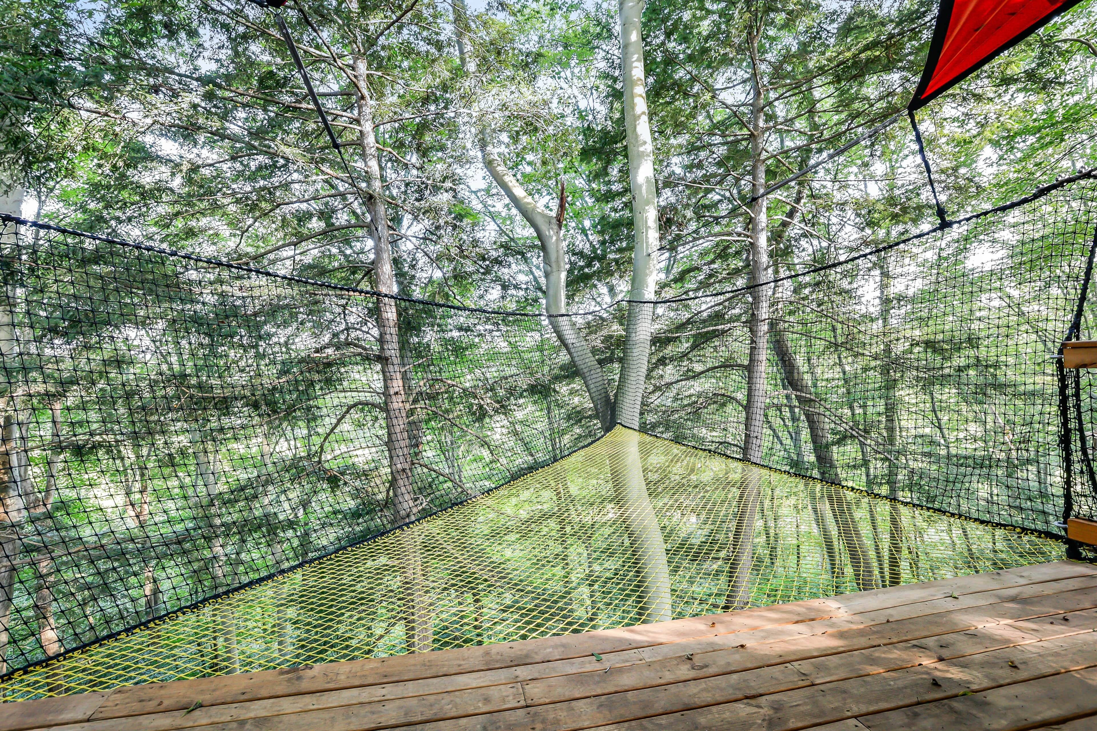 Una terraza de madera con un cerramiento de mosquiteras rodeada de árboles.